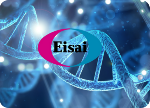 2005–2020: Scaling up and international expansion